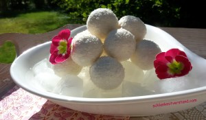 Kokoskugeln low carb Rezept