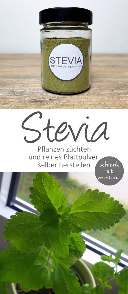Stevia reines Blattpulver selber herstellen