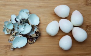 Wachteleier zubereiten