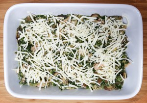 low carb Thunfischauflauf Rezept