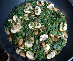 low carb Thunfischauflauf